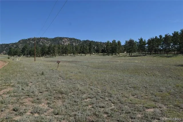 431 High Chateau Road Florissant, CO 80816
