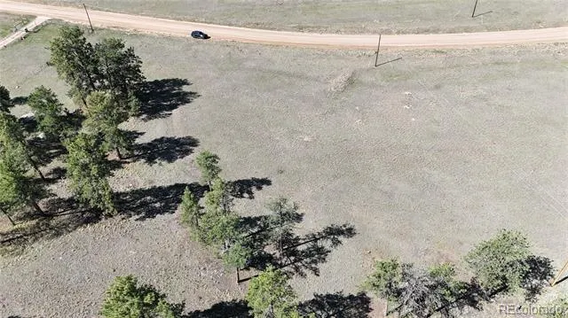 431 High Chateau Road Florissant, CO 80816