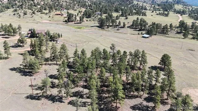 431 High Chateau Road Florissant, CO 80816