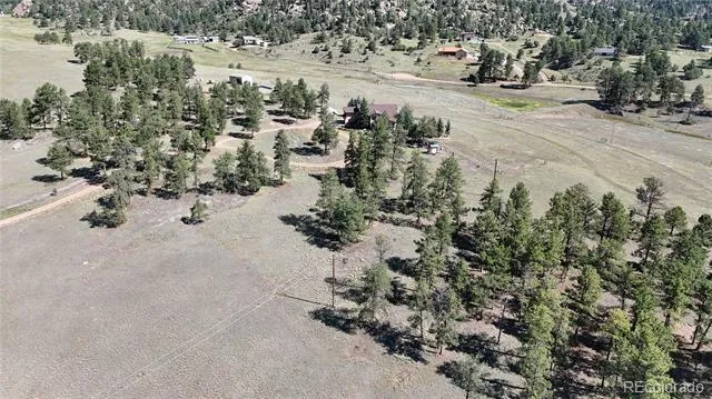 431 High Chateau Road Florissant, CO 80816