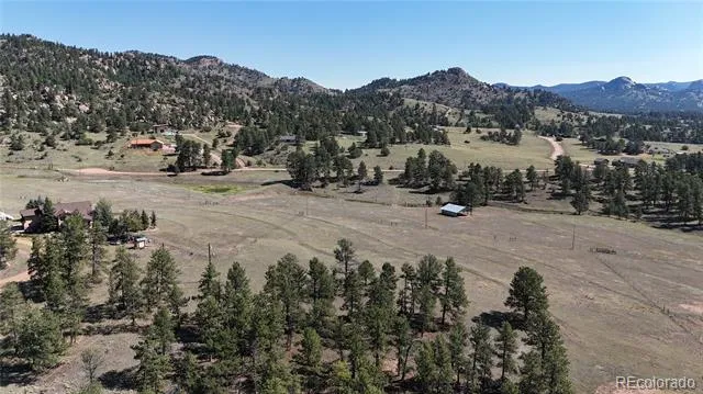431 High Chateau Road Florissant, CO 80816