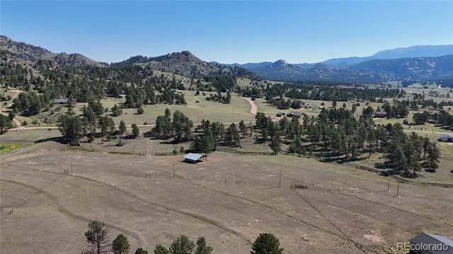 431 High Chateau Road Florissant, CO 80816