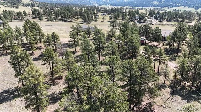 431 High Chateau Road Florissant, CO 80816