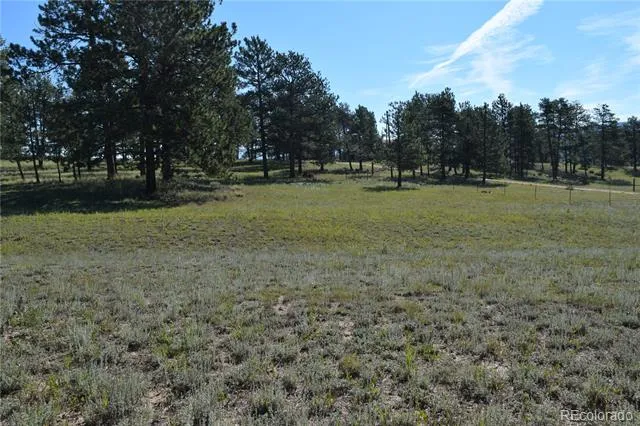 431 High Chateau Road Florissant, CO 80816