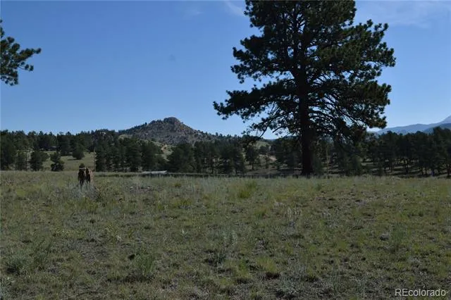 431 High Chateau Road Florissant, CO 80816