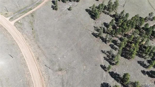 431 High Chateau Road Florissant, CO 80816