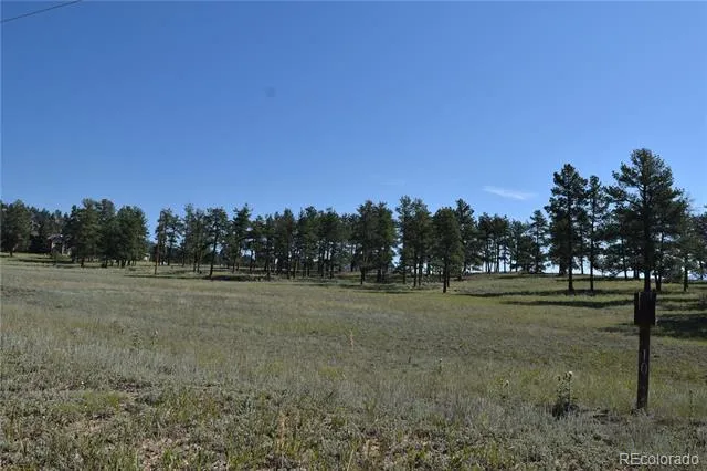 431 High Chateau Road Florissant, CO 80816