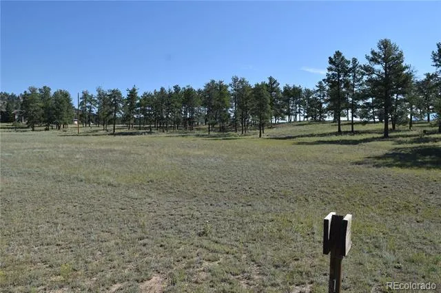 431 High Chateau Road Florissant, CO 80816