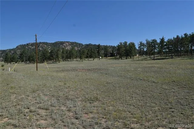 431 High Chateau Road Florissant, CO 80816