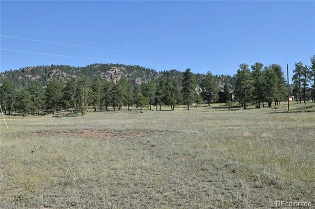 431 High Chateau Road Florissant, CO 80816