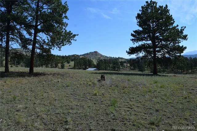 431 High Chateau Road Florissant, CO 80816