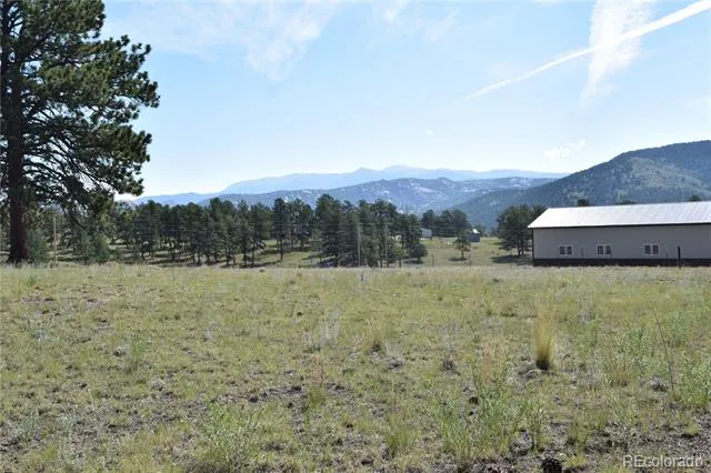 431 High Chateau Road Florissant, CO 80816