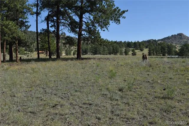 431 High Chateau Road Florissant, CO 80816
