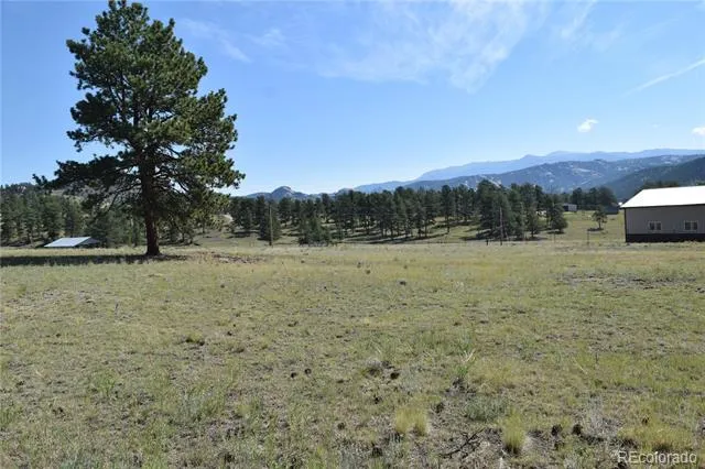 431 High Chateau Road Florissant, CO 80816