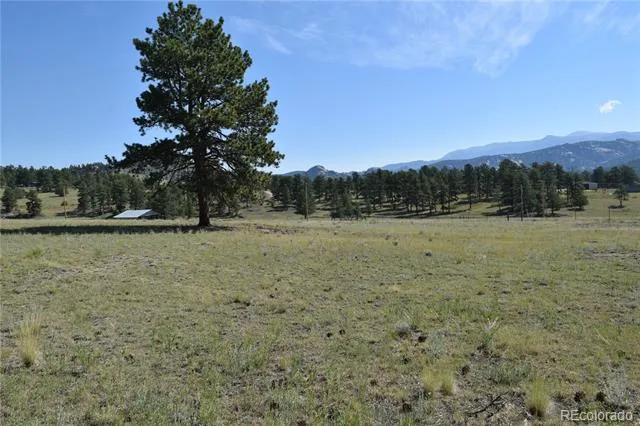 431 High Chateau Road Florissant, CO 80816