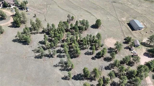 431 High Chateau Road Florissant, CO 80816