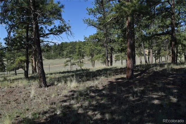 431 High Chateau Road Florissant, CO 80816