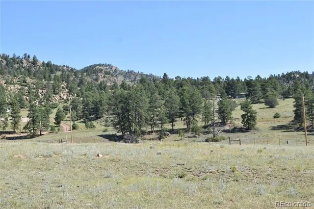431 High Chateau Road Florissant, CO 80816