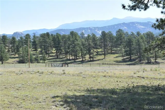 431 High Chateau Road Florissant, CO 80816