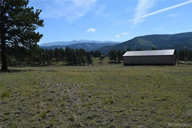 431 High Chateau Road Florissant, CO 80816