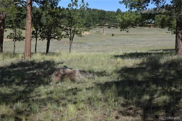 431 High Chateau Road Florissant, CO 80816
