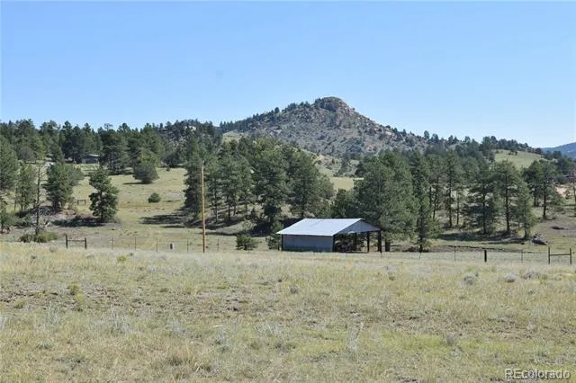 431 High Chateau Road Florissant, CO 80816