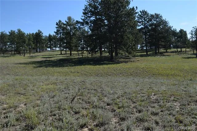 431 High Chateau Road Florissant, CO 80816