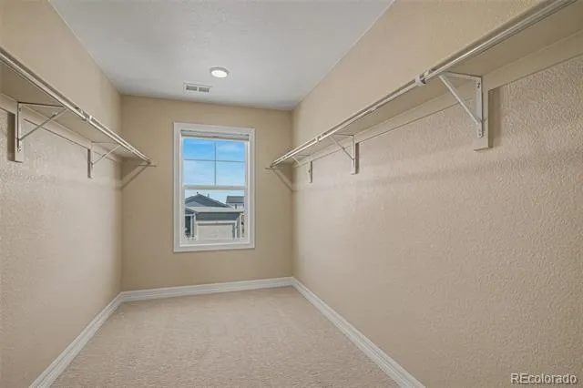 287 Vista Cliff Circle Castle Rock, CO 80104