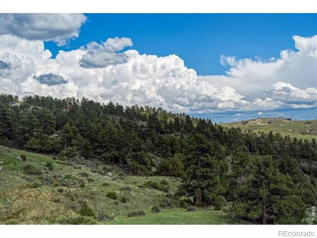 285 Guardian Peak Drive Livermore, CO 80536