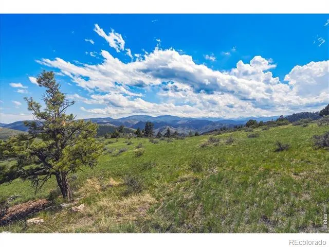 285 Guardian Peak Drive Livermore, CO 80536