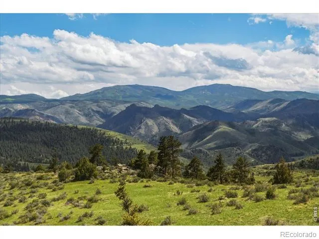 285 Guardian Peak Drive Livermore, CO 80536