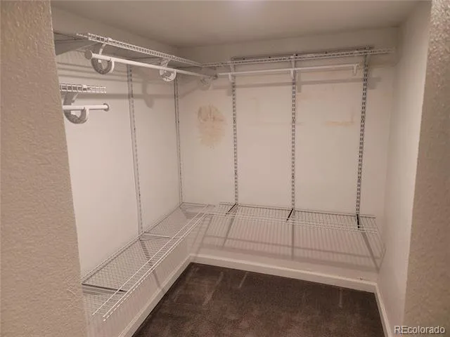 2834 Curtis Street #3 Denver, CO 80205