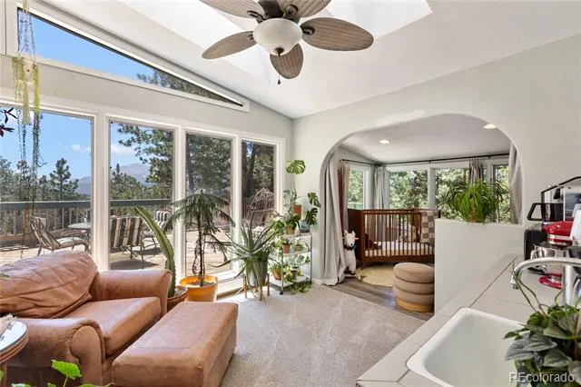 1150 Forest Hill Place Woodland Park, CO 80863