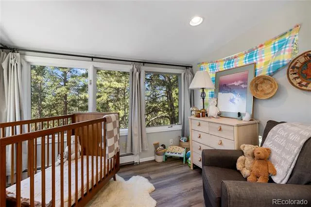 1150 Forest Hill Place Woodland Park, CO 80863