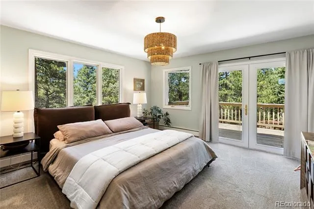 1150 Forest Hill Place Woodland Park, CO 80863
