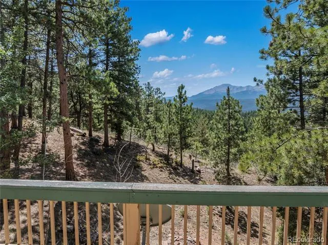 1150 Forest Hill Place Woodland Park, CO 80863