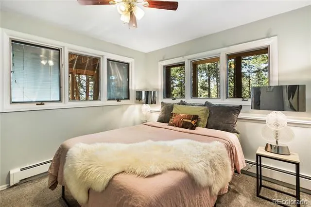 1150 Forest Hill Place Woodland Park, CO 80863