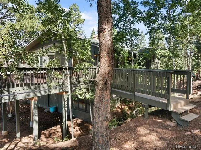 1150 Forest Hill Place Woodland Park, CO 80863