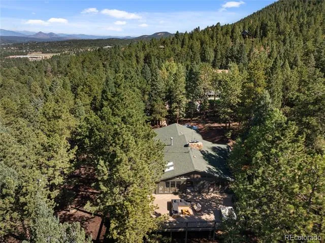 1150 Forest Hill Place Woodland Park, CO 80863