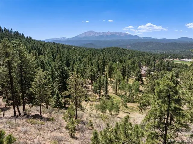 1150 Forest Hill Place Woodland Park, CO 80863