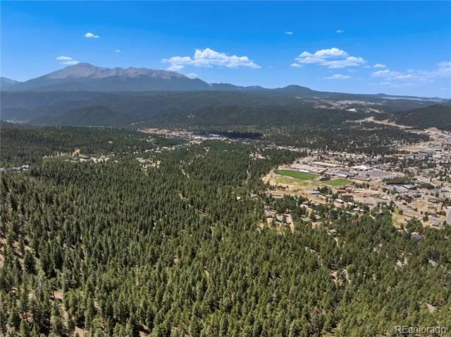 1150 Forest Hill Place Woodland Park, CO 80863