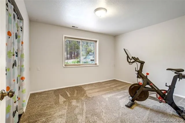 1155 Becky Drive Colorado Springs, CO 80921