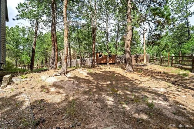 1155 Becky Drive Colorado Springs, CO 80921