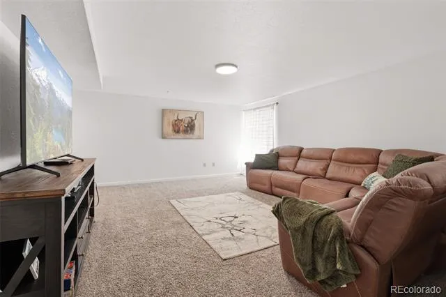 9015 E 139th Court Brighton, CO 80602