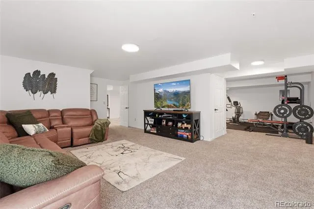 9015 E 139th Court Brighton, CO 80602