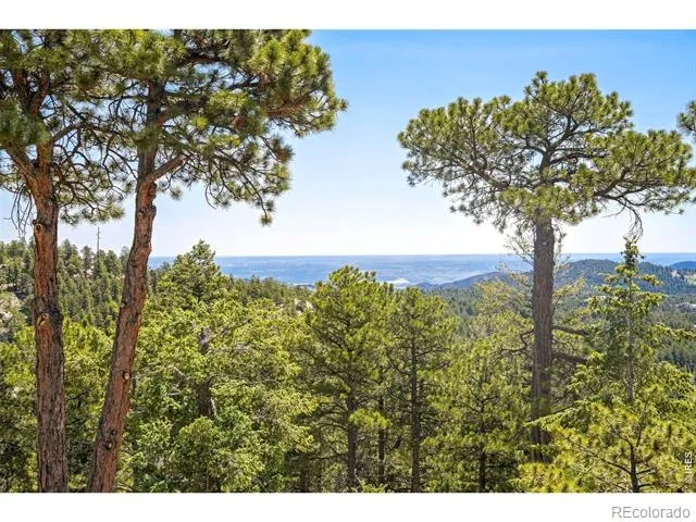 24043 Eagle Cliff Trail Conifer, CO 80433