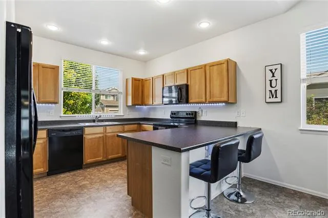446 Ptarmigan Street Severance, CO 80550