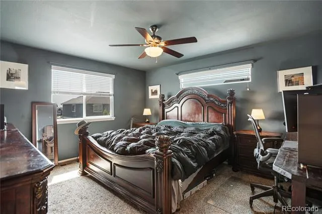 446 Ptarmigan Street Severance, CO 80550
