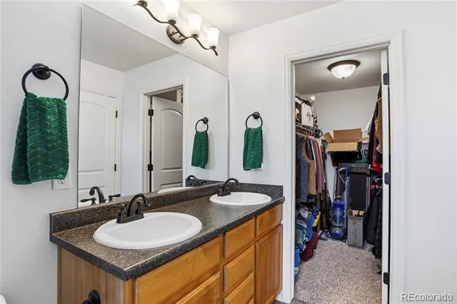 446 Ptarmigan Street Severance, CO 80550