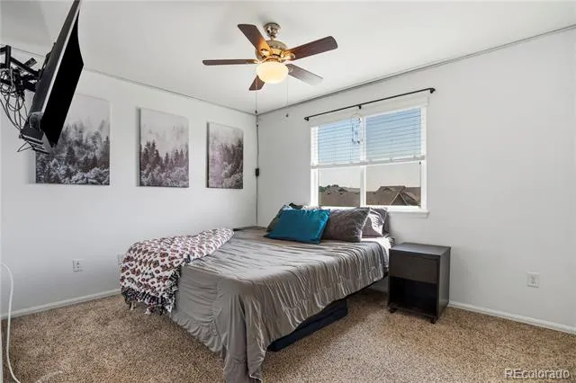 446 Ptarmigan Street Severance, CO 80550